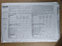 Back view of pattern S8538